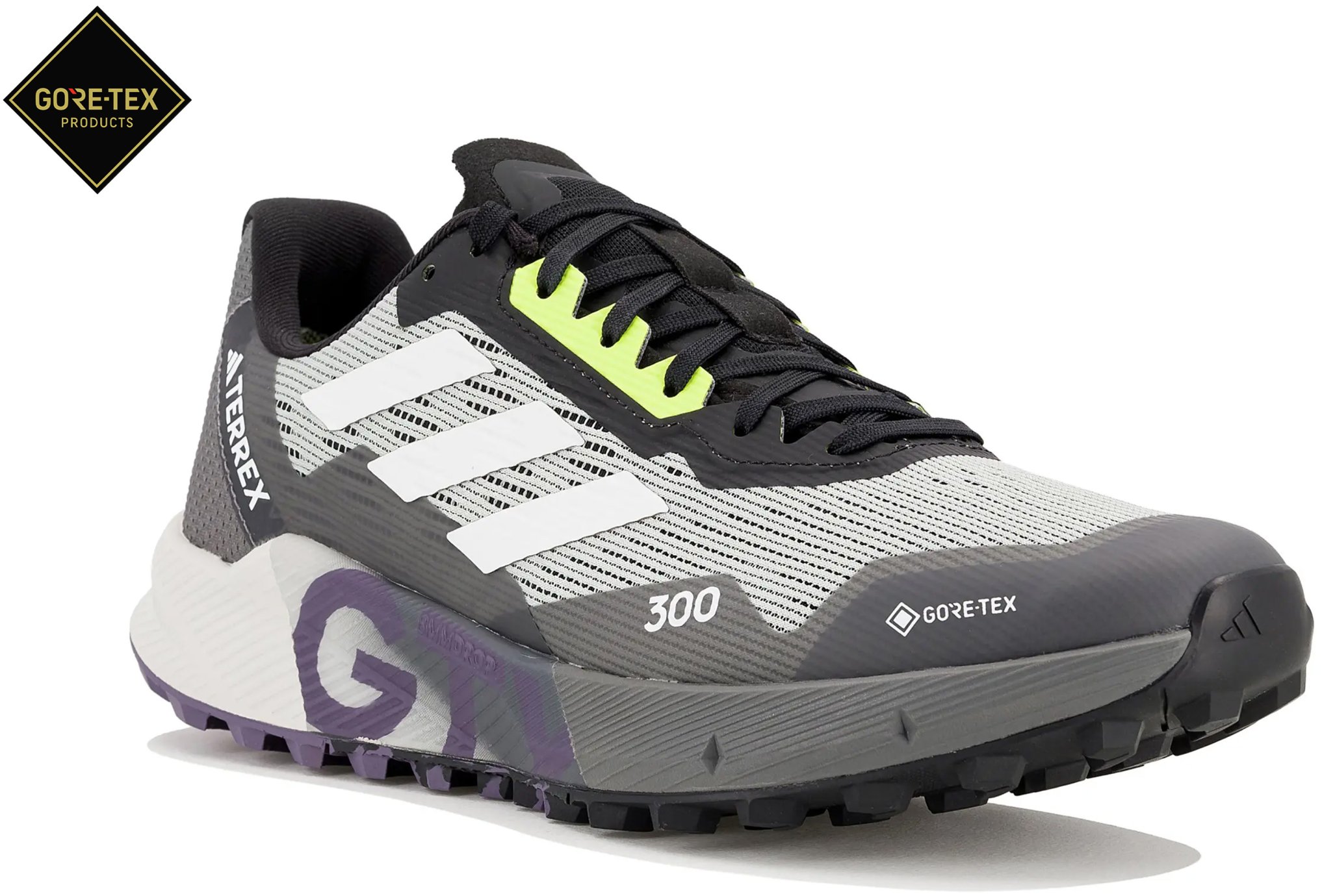 adidas Terrex Agravic Flow 2 Gore-Tex W special offer