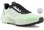 adidas Terrex Agravic Flow 2 M