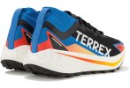 adidas Terrex Argravic Gore-Tex Herren