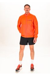 adidas pantal�n corto Terrex Agravic