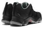 adidas Terrex AX2R Gore-Tex