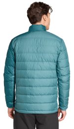 adidas Terrex Multi Down