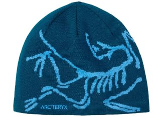 Arcteryx Bird Head