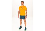 Asics Fujitrail Logo Herren