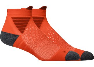 Asics Fujitrail Quarter