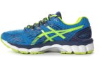Asics Gel Nimbus 17