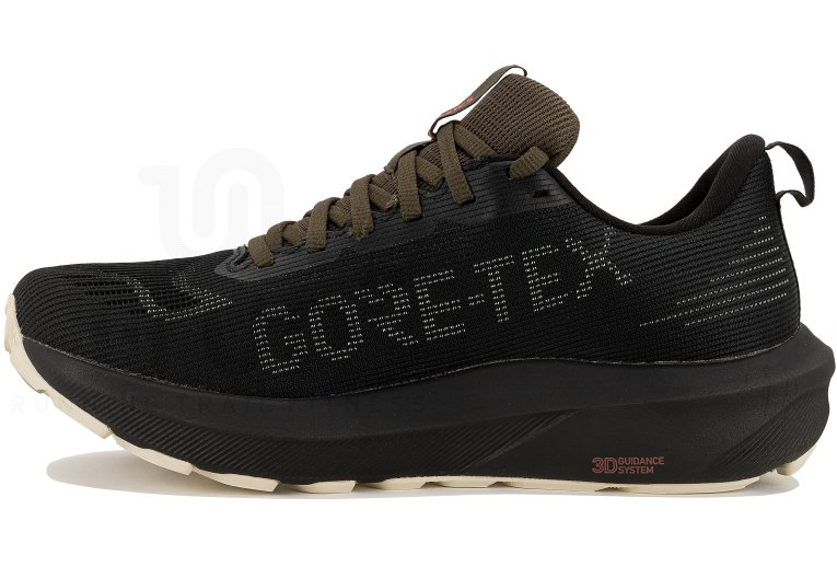 Asics GT-1000 14 Gore-Tex Damen