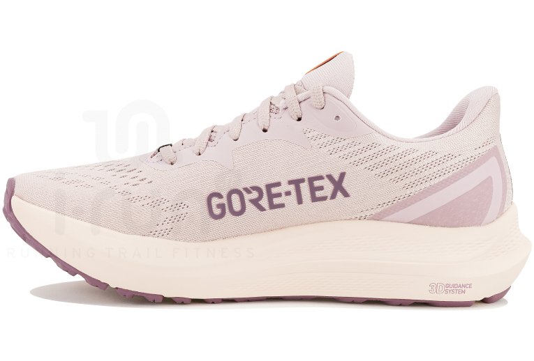 Asics GT-2000 12 Gore-Tex