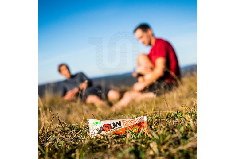 Baouw Barre prot?in?e bio - Prot?ine de graines de courge - Abricot - Romarin