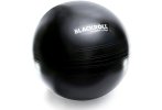 Blackroll Gymball 65
