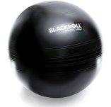 Blackroll Gymball 65