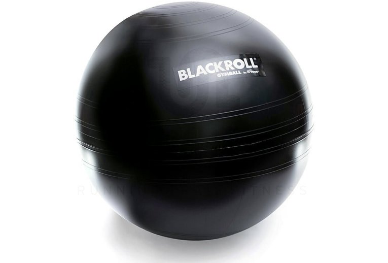 Blackroll Gymball 65