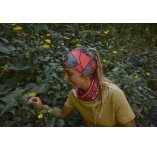 Buff CoolNet UV Wide