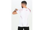 BV Sport camiseta manga corta Limited Alpes