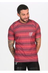 Compressport Performance M
