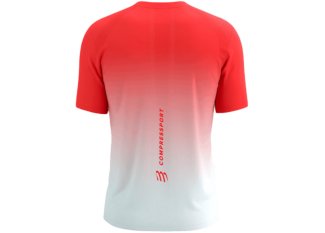 Compressport Performance