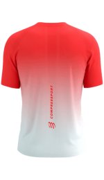 Compressport Performance