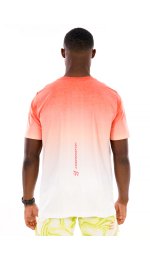 Compressport Performance