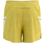 Compressport Performance