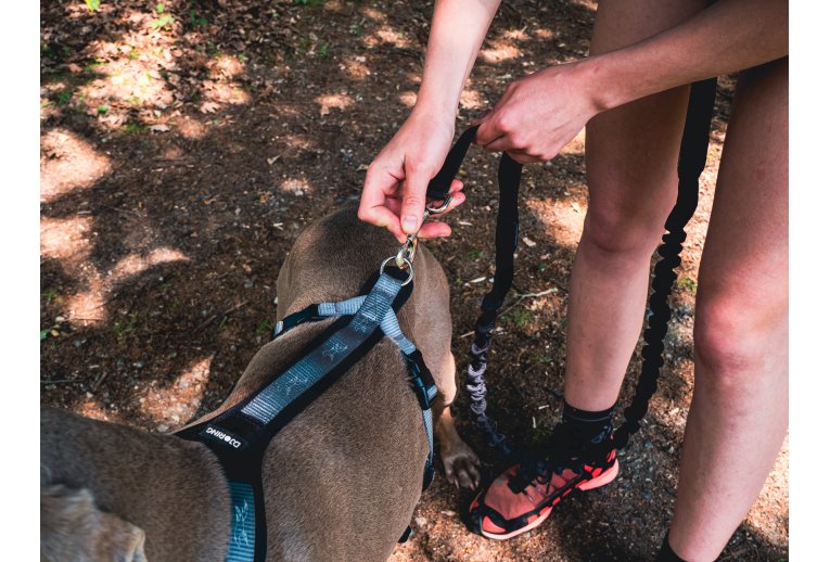 Djoring Arns Djore Pro