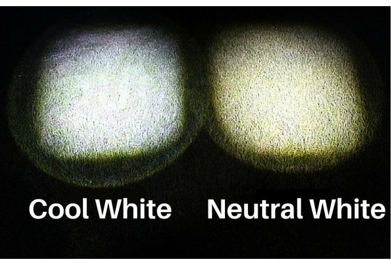 Ferei Linterna frontal HL40AA Cool White