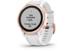 Garmin Fenix 6S Pro
