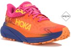 Hoka One One Challenger ATR 7 Gore-Tex