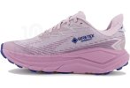 Hoka One One Challenger 8 Gore-Tex