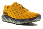 Hoka One One Torrent