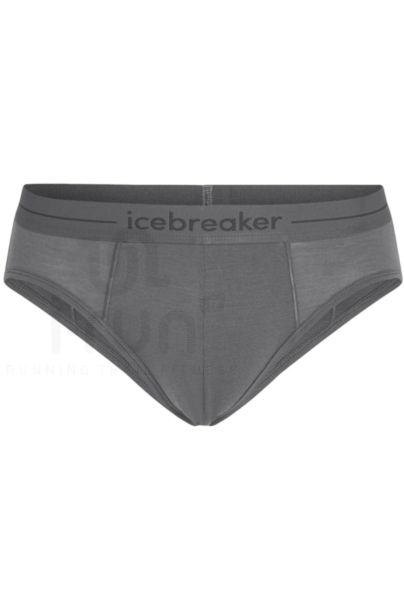 Icebreaker Anatomica Brief Merino