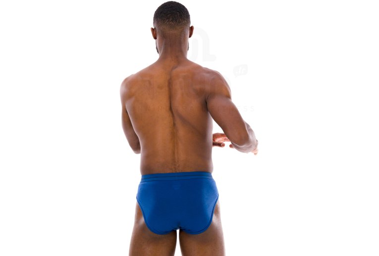 Icebreaker Anatomica Brief Merino