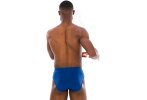 Icebreaker Anatomica Brief Merino
