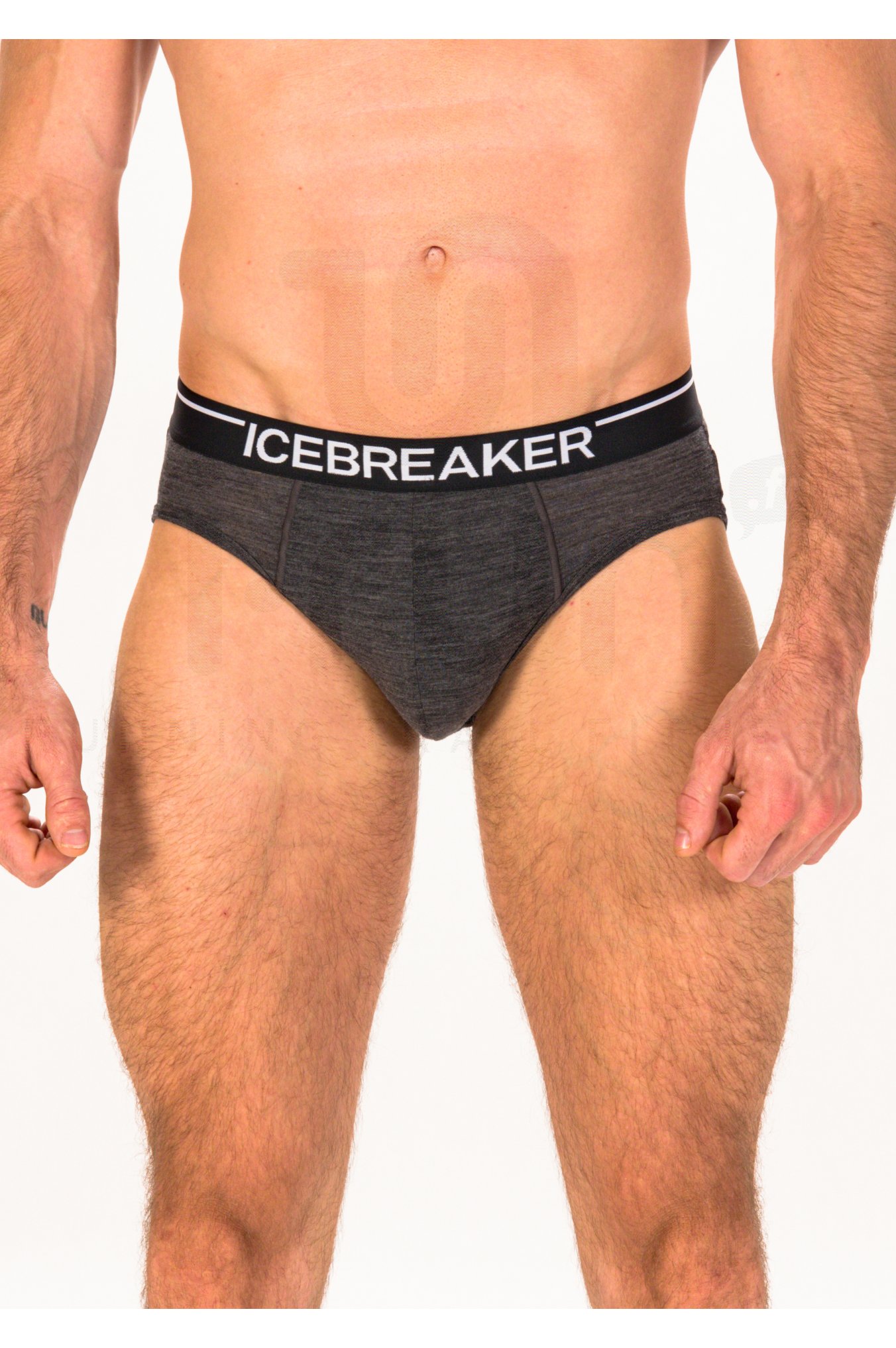 Icebreaker Anatomica Briefs Herren