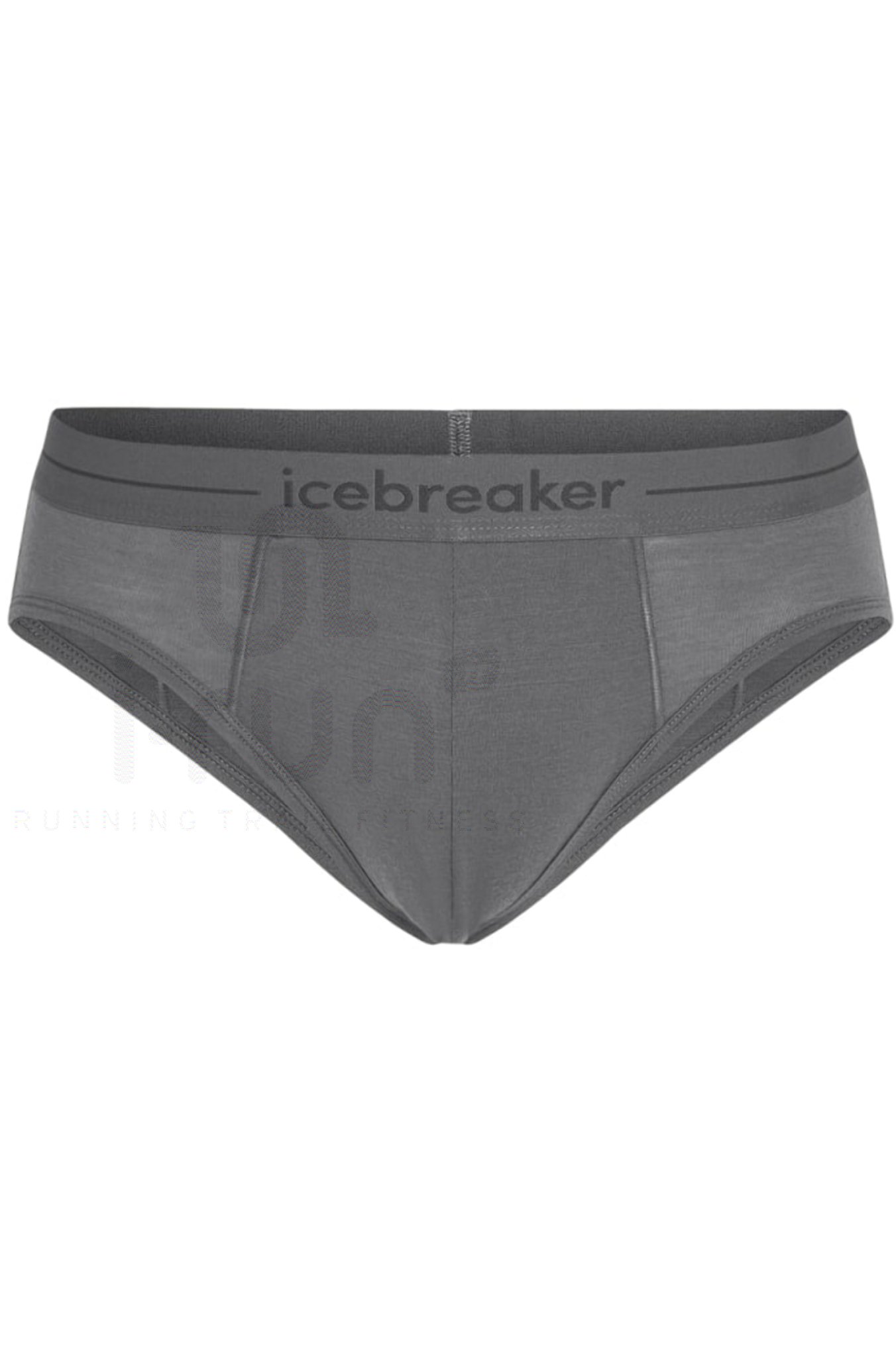 Icebreaker Anatomica Briefs Herren