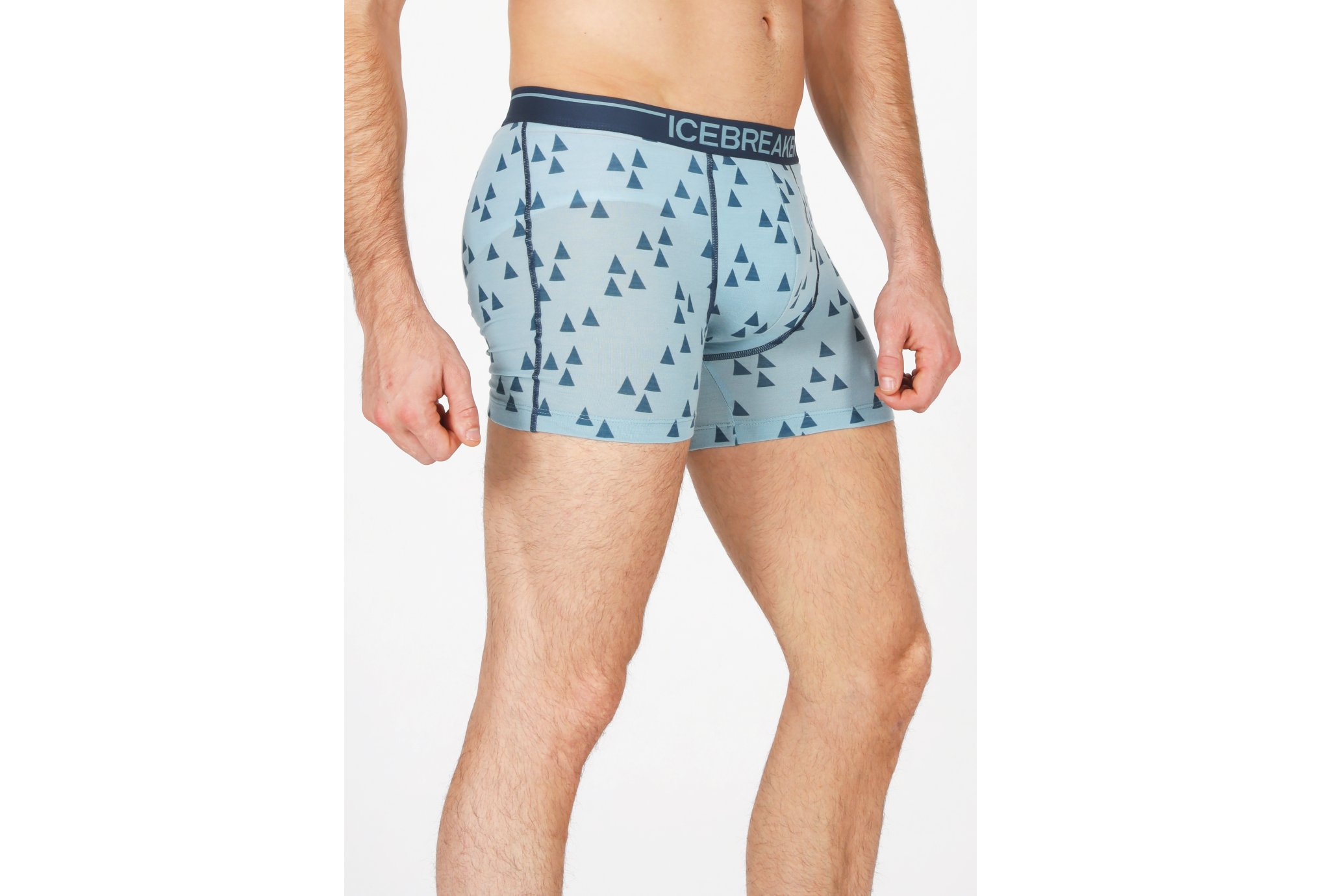 Icebreaker Anatomica M vêtement running homme