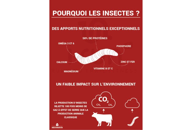 Micronutris - My Impact My Impact - Barre aux insectes / Fruits et Chocolat