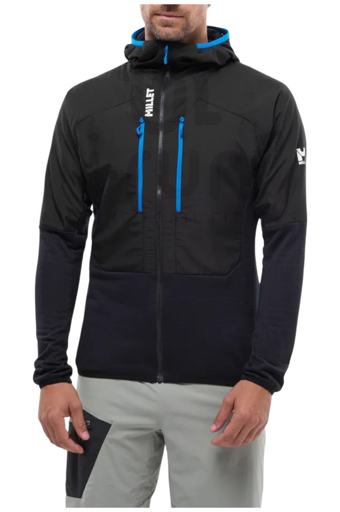 Millet Parmelan Hybrid