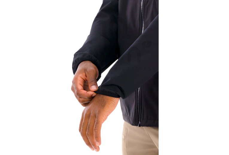 Millet Seneca Hybrid