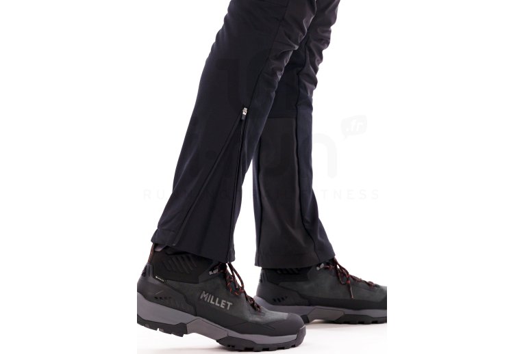 Millet Seneca Hydrid