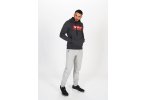 Mizuno Hoody Herren