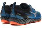 Mizuno Wave Ibuki Gore-Tex
