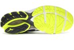 Mizuno Wave Rider 22