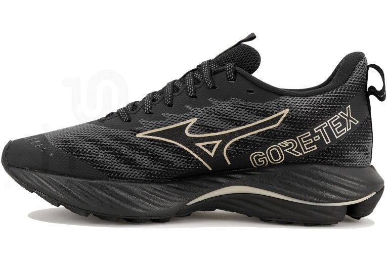 Mizuno Wave Rider Gore-Tex 2