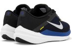 Nike Air Winflo 10 Herren