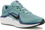 Nike Air Winflo 11