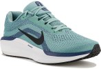 Nike Air Winflo 11