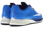 Nike Air Zoom Elite 10