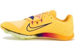Nike Air Zoom LJ Elite