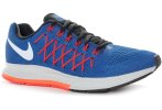 Nike Air Zoom Pegasus 32