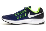 Nike Air Zoom Pegasus 33